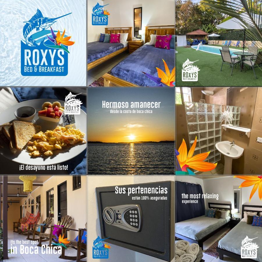 Roxy'S Bed & Breakfast Boca Chica Esterno foto