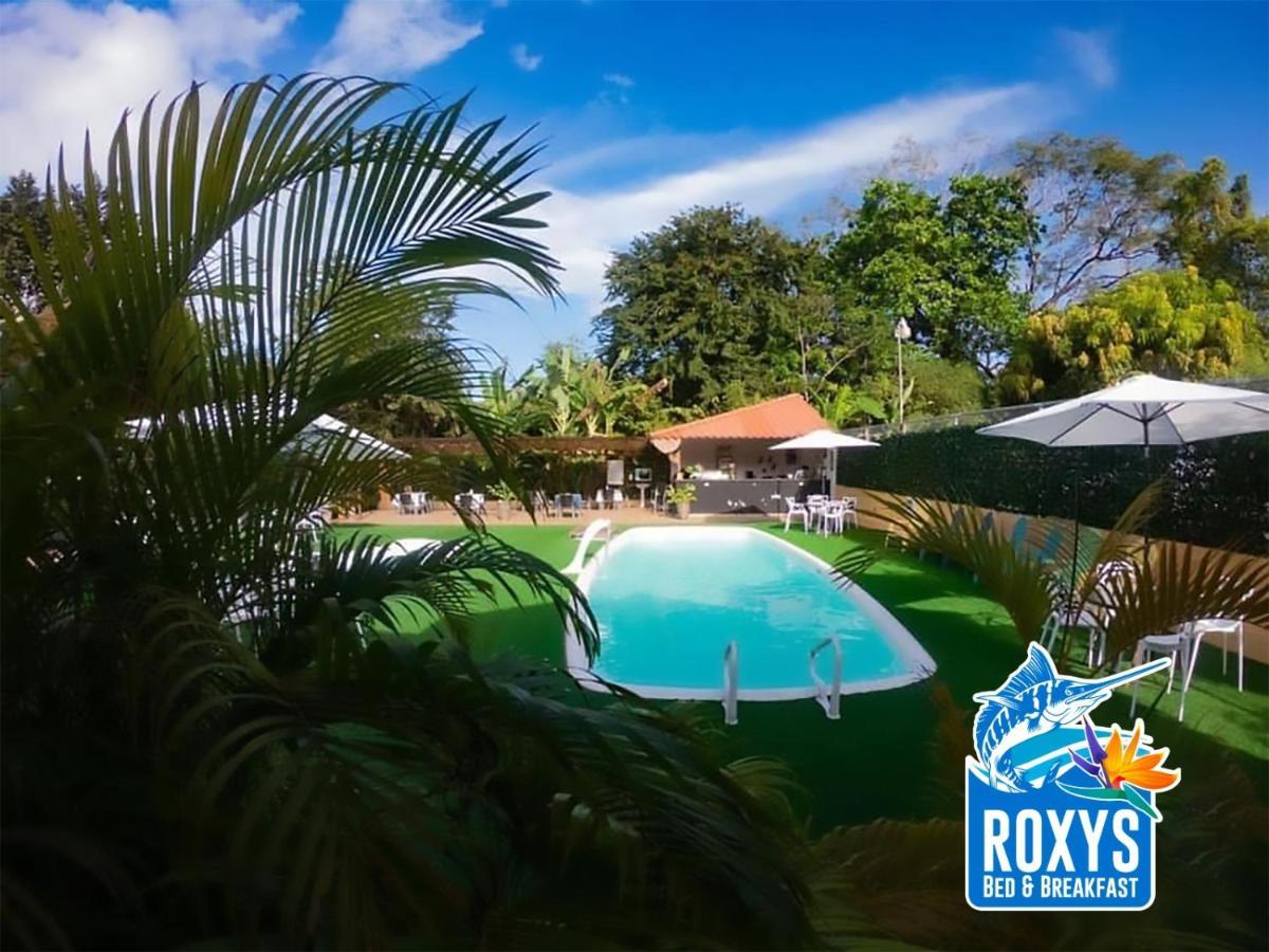 Roxy'S Bed & Breakfast Boca Chica Esterno foto