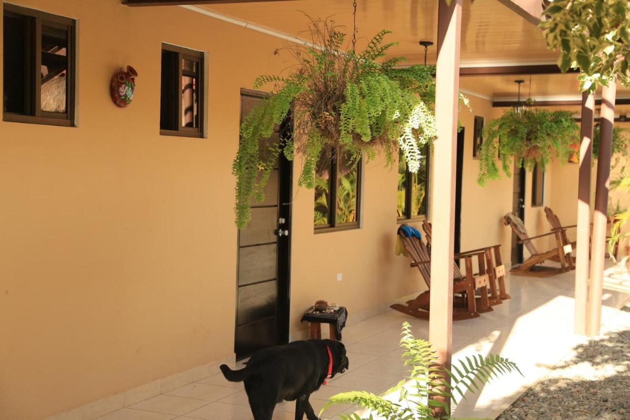 Roxy'S Bed & Breakfast Boca Chica Esterno foto